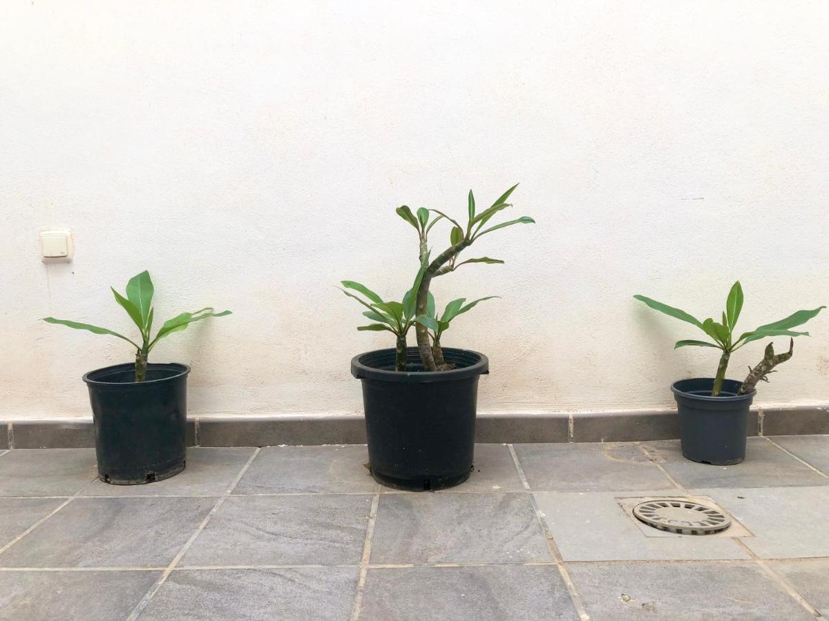 Varela Apartamentos B مالقة المظهر الخارجي الصورة