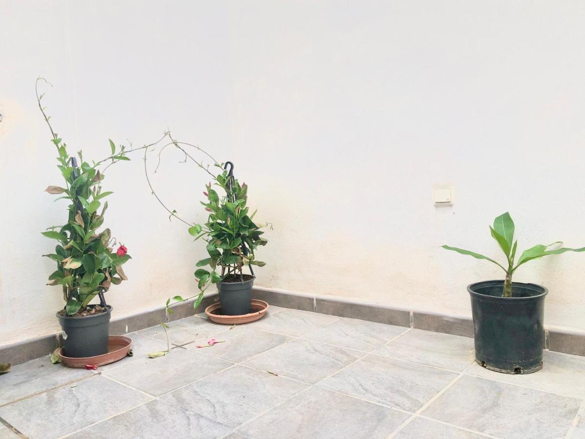 Varela Apartamentos B مالقة المظهر الخارجي الصورة