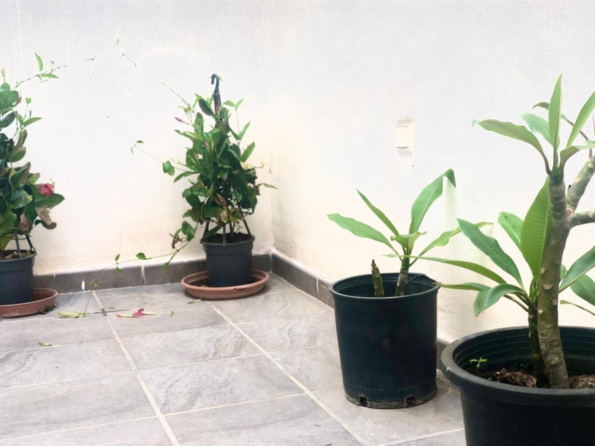 Varela Apartamentos B مالقة المظهر الخارجي الصورة